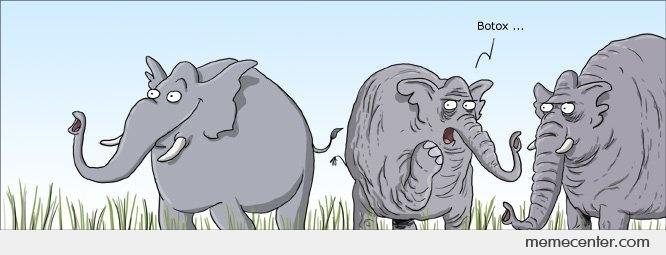 a botox meme of a wrinkled elephant complains about his friend's botox