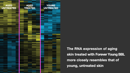 RNA-Expression-Skin